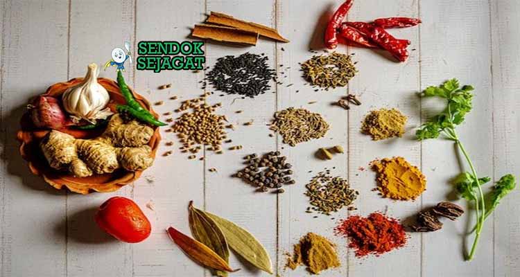 bahan bahan membuat coto makassar