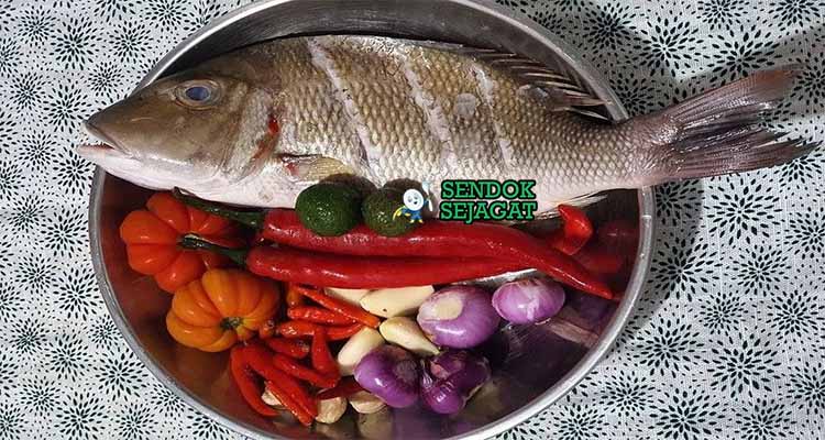 bahan bahan membuat ikan bakar rica rica