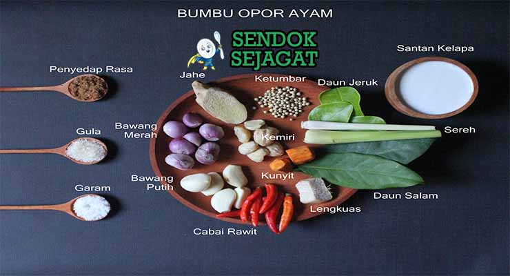 bahan bahan membuat opor ayam