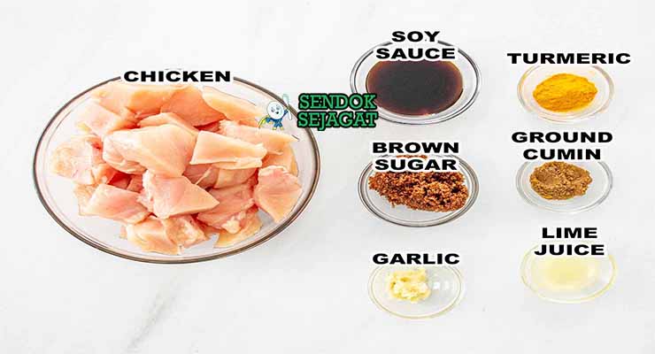bahan bahan membuat chicken satay