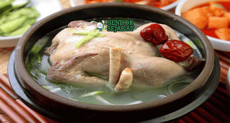 Korean Samgyetang Sendok Sejagat.