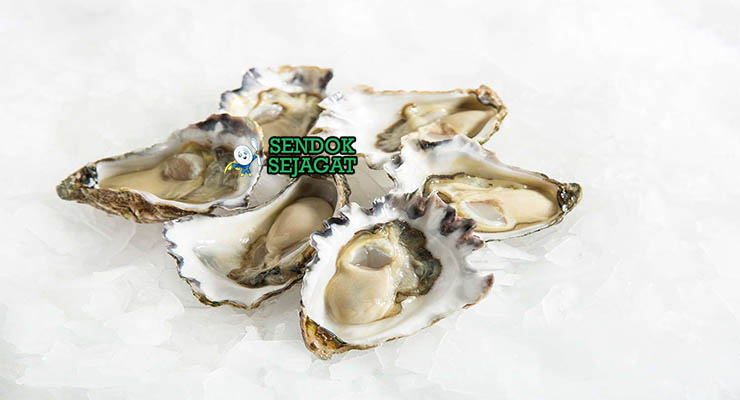 Bahan-bahan untuk Sydney Rock Oyster, termasuk tiram dan jeruk nipis