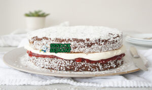 Australian Lamington Sponge Cake dengan lapisan cokelat dan kelapa