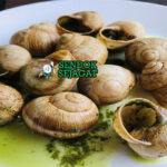 Escargot siput panggang mentega bubbling di piring escargot