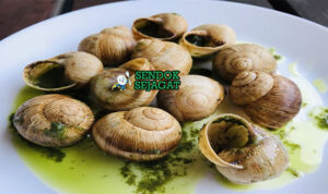 Escargot Siput Mentega Gurih Khas Prancis Escargot siput panggang mentega bubbling di piring escargot