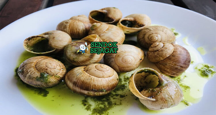 Escargot siput panggang mentega bubbling di piring escargot