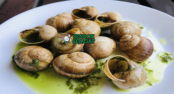 Escargot Siput Mentega Gurih Khas Prancis Escargot siput panggang mentega bubbling di piring escargot