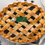 Blueberry Pie slice blueberry bubbling crust flaky di plate saji