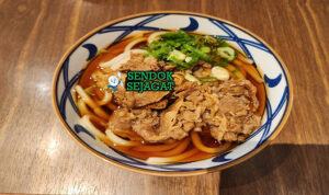 Niku Udon mangkuk besar udon tebal irisan daging sapi daun bawang shichimi menguap