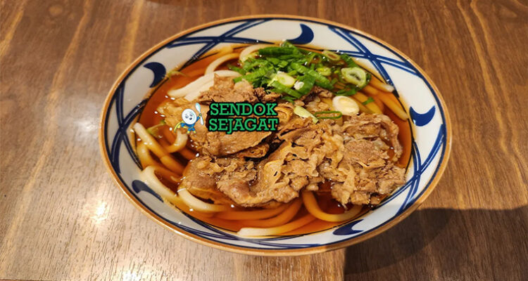 Niku Udon mangkuk besar udon tebal irisan daging sapi daun bawang shichimi menguap