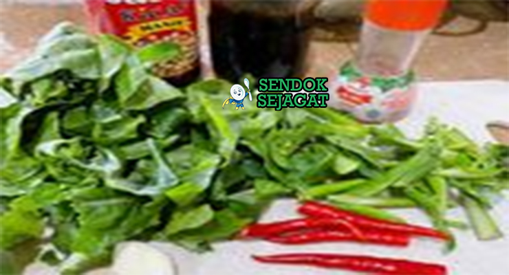Bahan cah kailan saus tiram kailan segar saus tiram bawang putih jahe cabe rawit kecap minyak wijen