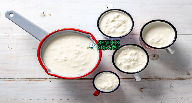 Bahan amasi susu full fat segar yogurt starter calabash botol fermentasi pap maize