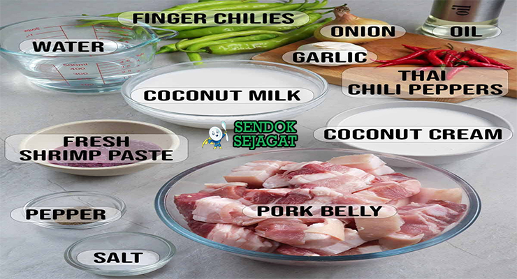 Bahan-bahan segar untuk resep Bicol Express: santan kental, cabai rawit, cabai hijau panjang, bagoong alamang, bawang, bawang putih, jahe, dan daging babi