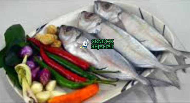Bahan ikan kembung balado ikan kembung segar cabe merah bawang kunyit lengkuas serai daun jeruk