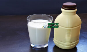 Amasi yogurt fermentasi kental creamy dingin mangkuk calabash pap maize chakalaka braai meat