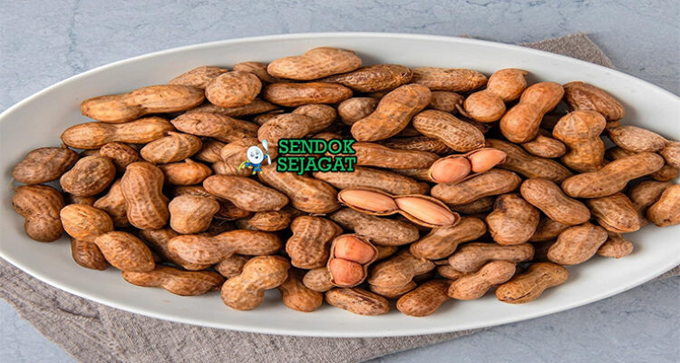 Boiled Peanuts kacang tanah rebus dalam kulit garam Cajun panas koran piring Southern USA