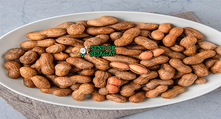 Boiled Peanuts kacang tanah rebus dalam kulit garam Cajun panas koran piring Southern USA
