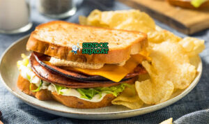 Bahan fried bologna sandwich bologna tebal bacon cheese American mustard mayo onion tomato pickles roti