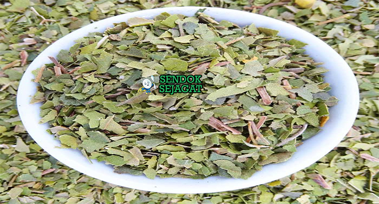 Bahan segar resep lemon myrtle iced tea Australia: daun lemon myrtle kering, madu asli, lemon segar iris, air panas, es batu, daun mint segar di atas meja dapur kayu cerah