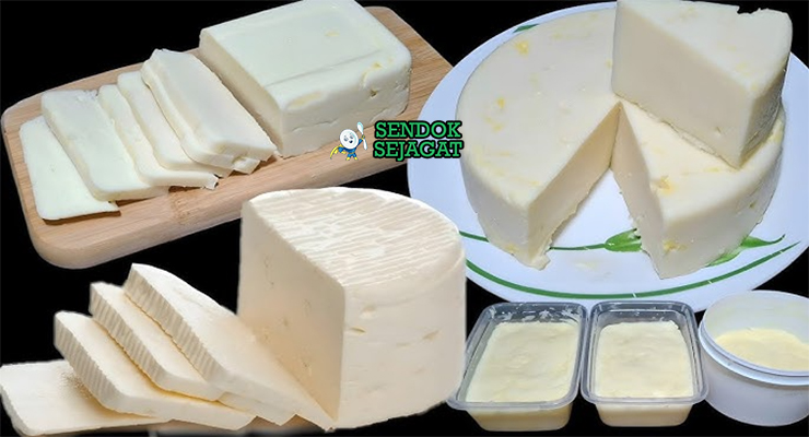 Bahan segar resep Queijo da Serra: susu domba segar dalam botol, rennet thistle bubuk atau cair, garam laut halus, kain katun untuk curd di atas meja dapur kayu sederhana