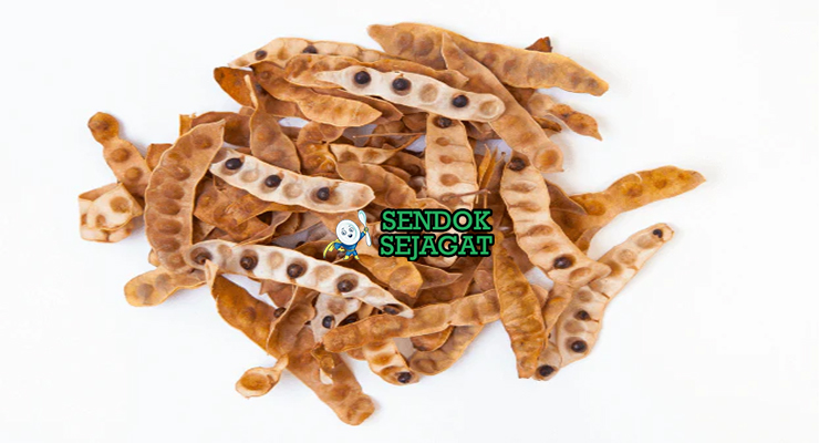 Bahan segar resep wattleseed latte Australia: bubuk wattleseed roasted cokelat tua, biji kopi segar, susu full cream, gula aren sisir, kayu manis bubuk, vanilla ekstrak di atas meja dapur kayu cerah