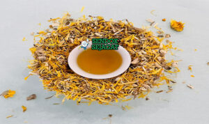 Billy tea khas Australia siap saji: teh hitam pekat dalam billy can besi di atas api unggun kayu, uap mengepul, disajikan dengan damper roti panggang dan biskuit kering, terlihat hangat autentik bushman