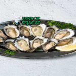 Piring Sydney Rock Oysters khas Australia dengan tiram mentah di atas es, lemon wedge, saus mignonette, tampak segar gurih menggugah selera