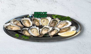 Piring Sydney Rock Oysters khas Australia dengan tiram mentah di atas es, lemon wedge, saus mignonette, tampak segar gurih menggugah selera