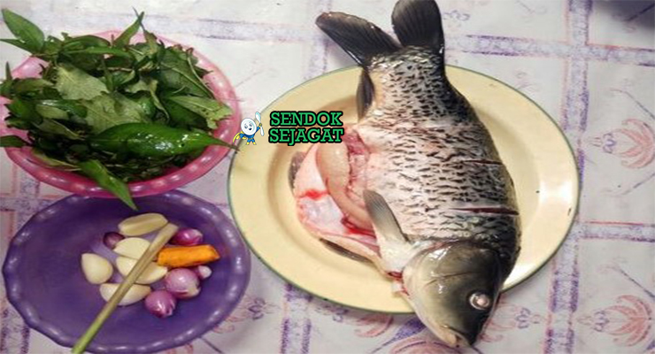 Bahan-bahan resep Pepes Ikan Mas termasuk ikan mas segar, santan kental, daun kemangi, cabai rawit, bawang, kemiri, dan rempah siap dibungkus