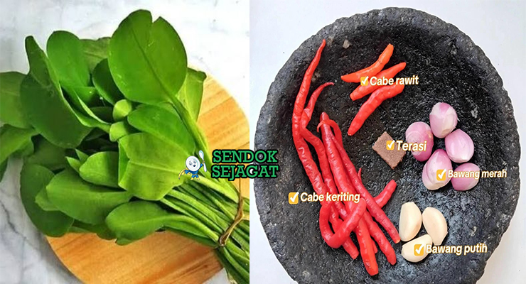 Bahan-bahan resep Tumis Genjer Terasi termasuk genjer segar, terasi bakar, bawang merah putih, cabai rawit, tomat, dan rempah siap ditumis